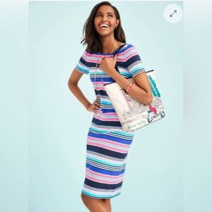 Talbots Striped Knit Cotton Dress: Black, White, Pink, Blue, Knee Length, L